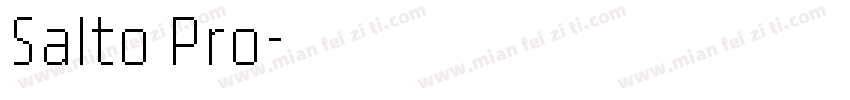 Salto Pro字体转换